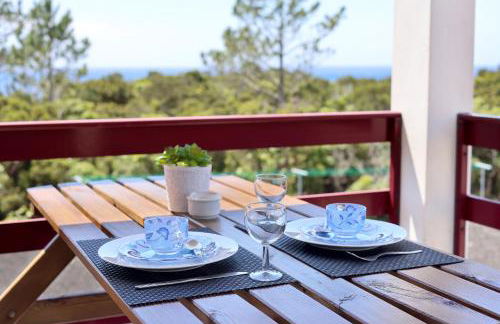 Vista Montanha - Foto 50