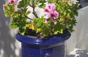 Appartement Chaleureux avec Jardin proximité Métro - Foto 26