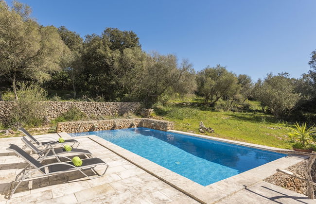 Finca Ses Curtanetes - Foto 1