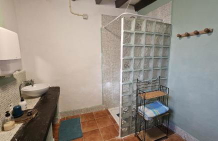 Experience Alpacas in Andalucia - Foto 15