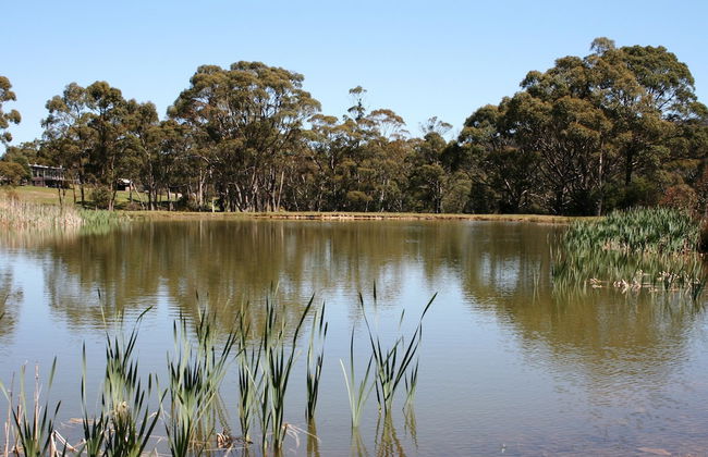 Craggy Peaks Wilderness Cabins - Foto 57