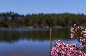 Nature Forest - Herdade de Martingil - Foto 77