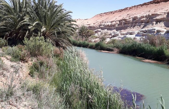 Tour de 2 días por el desierto de El Borj desde Agadir - Foto 7