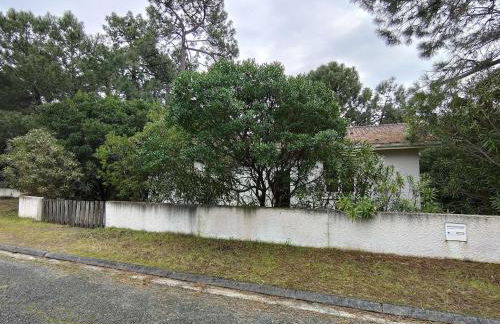 Villa avec jardin clos à Lège-Cap-Ferret, 3 chambres, proche plages - FR-1-736-56 - Foto 13