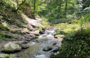 Am Apfelbaum, ein Ferienhaus zwischen Rhein und Mosel - Foto 56