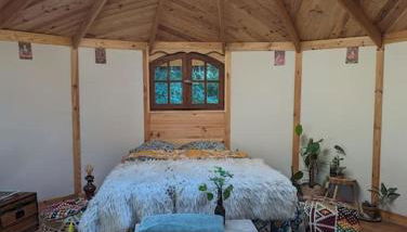 Cabayourte à la mauvaise herbe - Foto 3