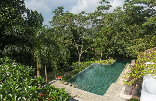 08 Acre Private Tea Estate Close To Galle - Photo 6