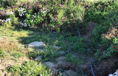 Andalusian Pool Parties Music & Magic - Photo 36