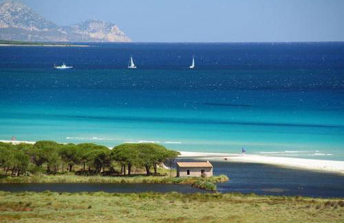 Posidonia Guest House La Caletta Sardegna - Foto 34