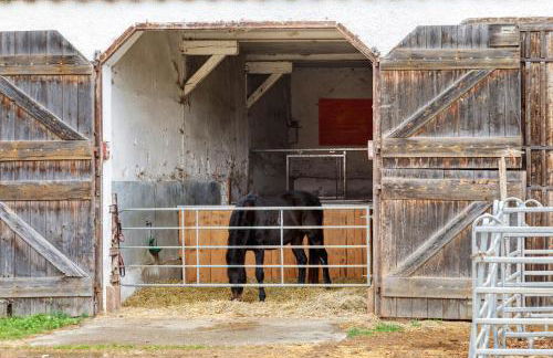 Hofgut Uhenfels - Photo 8