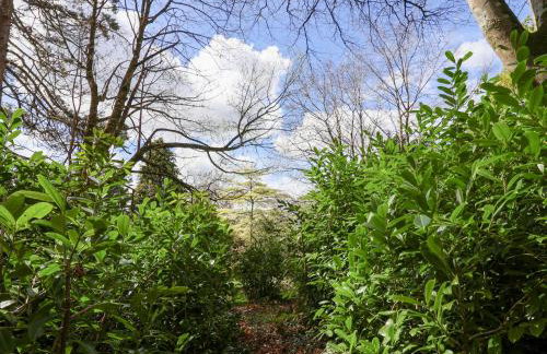 Dunridge Cottage - Foto 28