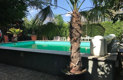 Unser Studio-Apartment "Wohlfühloase" - Foto 35