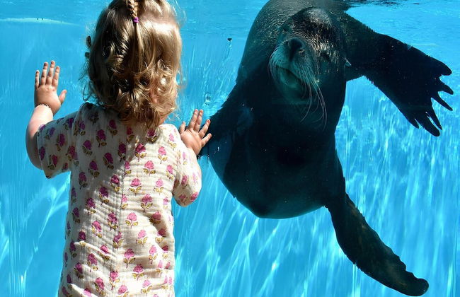 Pet-friendly Zeeland Getaway - Foto 32