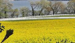 Ferienwohnung Leopold-Risch - Foto 2