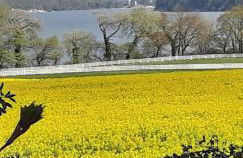 Ferienwohnung Leopold-Risch - Foto 2