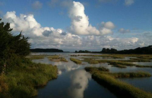 Maison avec jardin clos. Animaux acceptés - Wifi - Proche plages de la Trinité sur Mer et Carnac - Foto 9