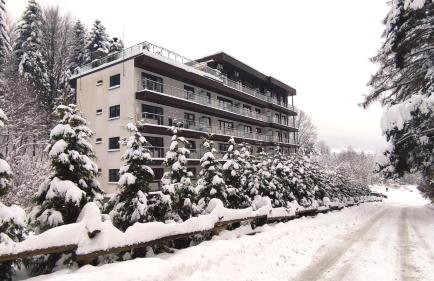 Czarodziejska Góra Kozubnik Daglezja - Foto 20