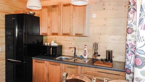 Domki cało roczne z własnym stawem nad jeziorem - Foto 4