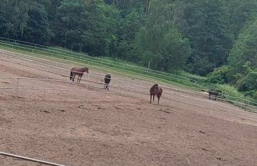 Leśny Zakątek - Mazury - Warmia - jezioro Dadaj - Foto 18