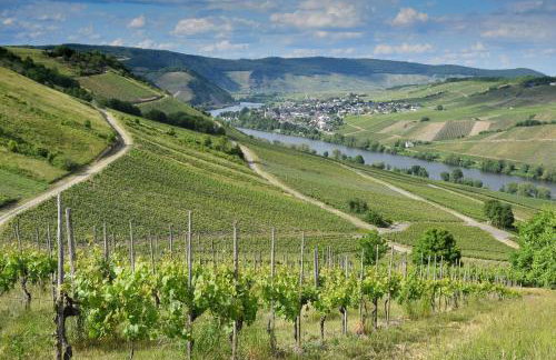 Hof zur Nette -Stilvoller Rückzugsort im Herzen des Maifelds - Foto 52