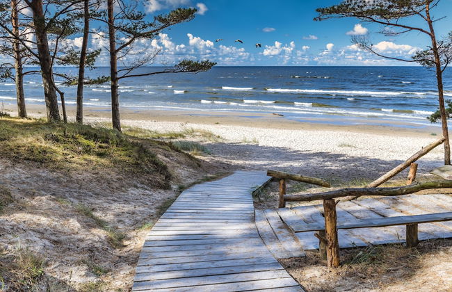 Strandhaus Rügen - Foto 58
