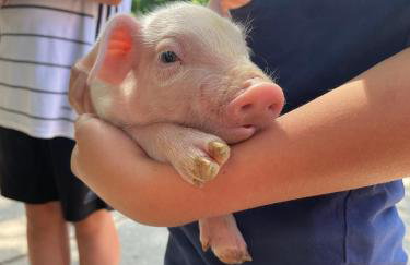Ferienhaus Spieker - Hof Brockmann - Foto 12