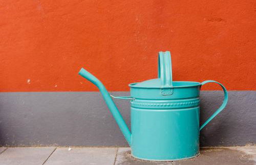 Kaminhaus 3 Fehmarn mit Sauna und Kamin - Foto 21