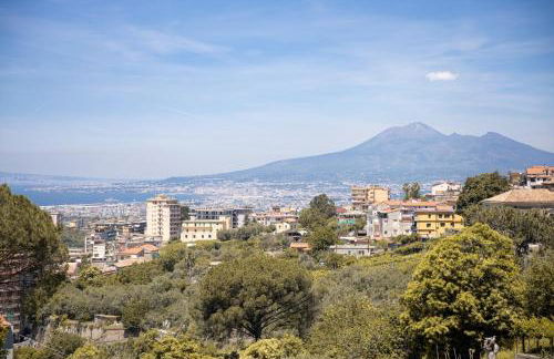 Tenuta Coppola - Foto 60