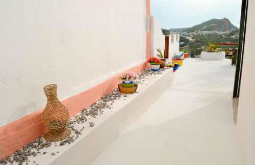 Maridea - La Marina - Photo 12