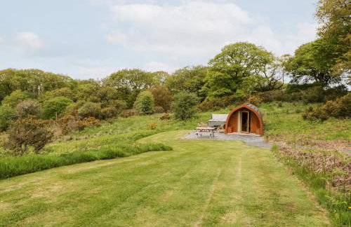 Llugwy Pod - Foto 22