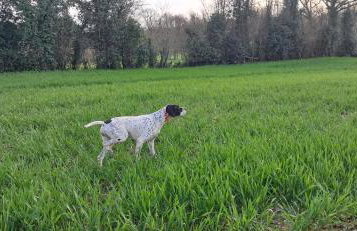 GÎTE Le REFUGE - Foto 19