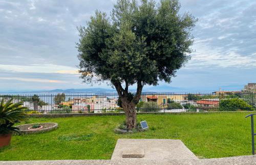 Grazioso MONOLOCALE nella villa NOLELU - Foto 22