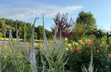 Romantik Unterkünfte Gut Rechetsberg - Foto 59