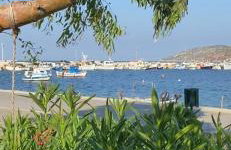 Olivetree house - Foto 58