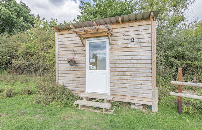 Dartmoor Reach Alpaca Farm - Foto 10