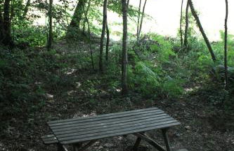 Ô bois dormant - Foto 19