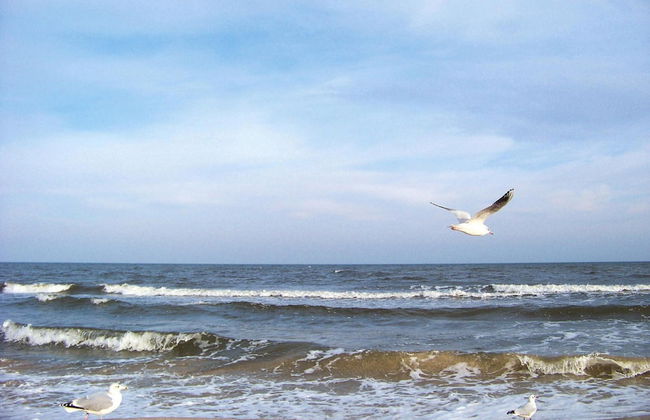 Ferienwohnung Meeresrausch in Ahlbeck - Foto 21