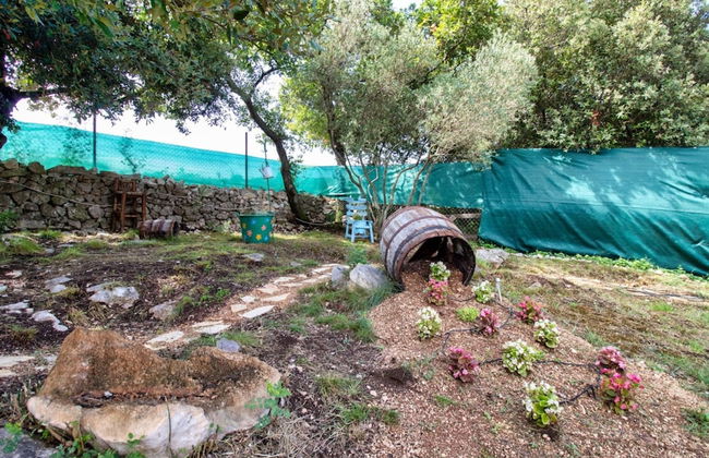 Vintage Winehouse Backov - Foto 39