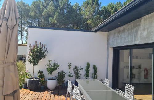 Maison sud des Landes proche Seignosse/ Capbreton / Soustons - Foto 49