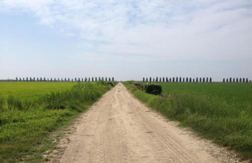 Il Piccolo Albero - Foto 41