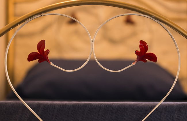 Giardini Acantus - Foto 8