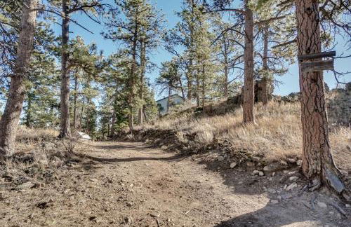 Red Feather Lakes Cabin with Deck and Views! - Foto 35