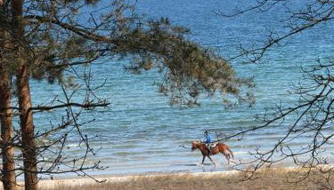 Strandvilla Waldhaus - Foto 2