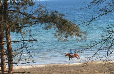 Strandvilla Waldhaus - Foto 2