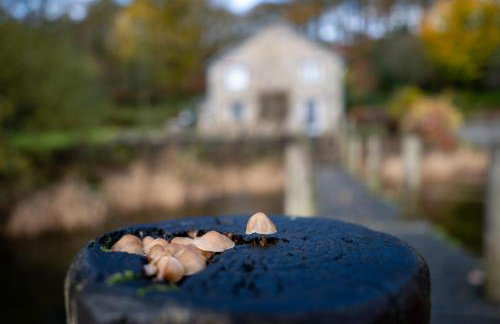 Hammerhole - Foto 35