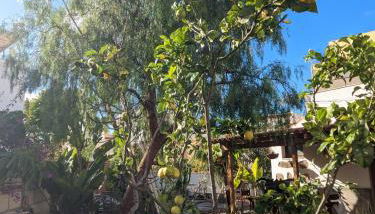 Casa Roberta Aire - Foto 2, Garden