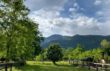 Agriturismo al Ranch - Foto 12