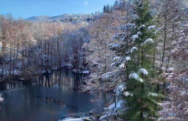 Ferienwohnung am Waldsee mit Schwimmbad - Foto 34