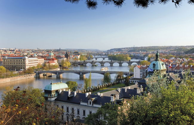 Prima Plus - Foto 31