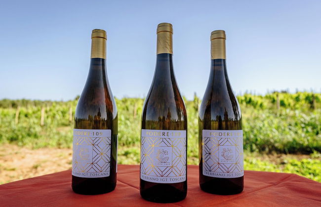 Agriturismo Bio Podere 109 - Wine & Food - Foto 79